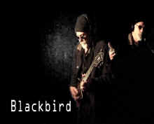 Blackbird