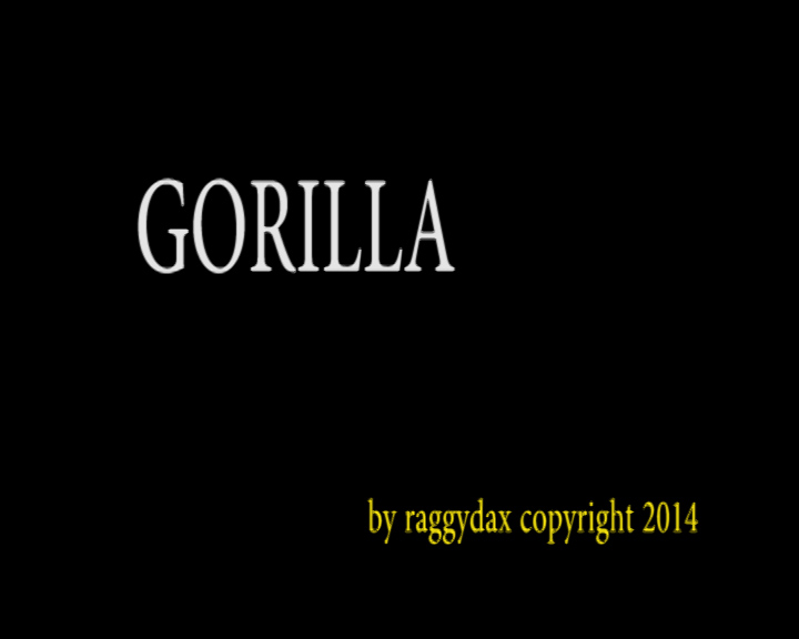 Gorilla